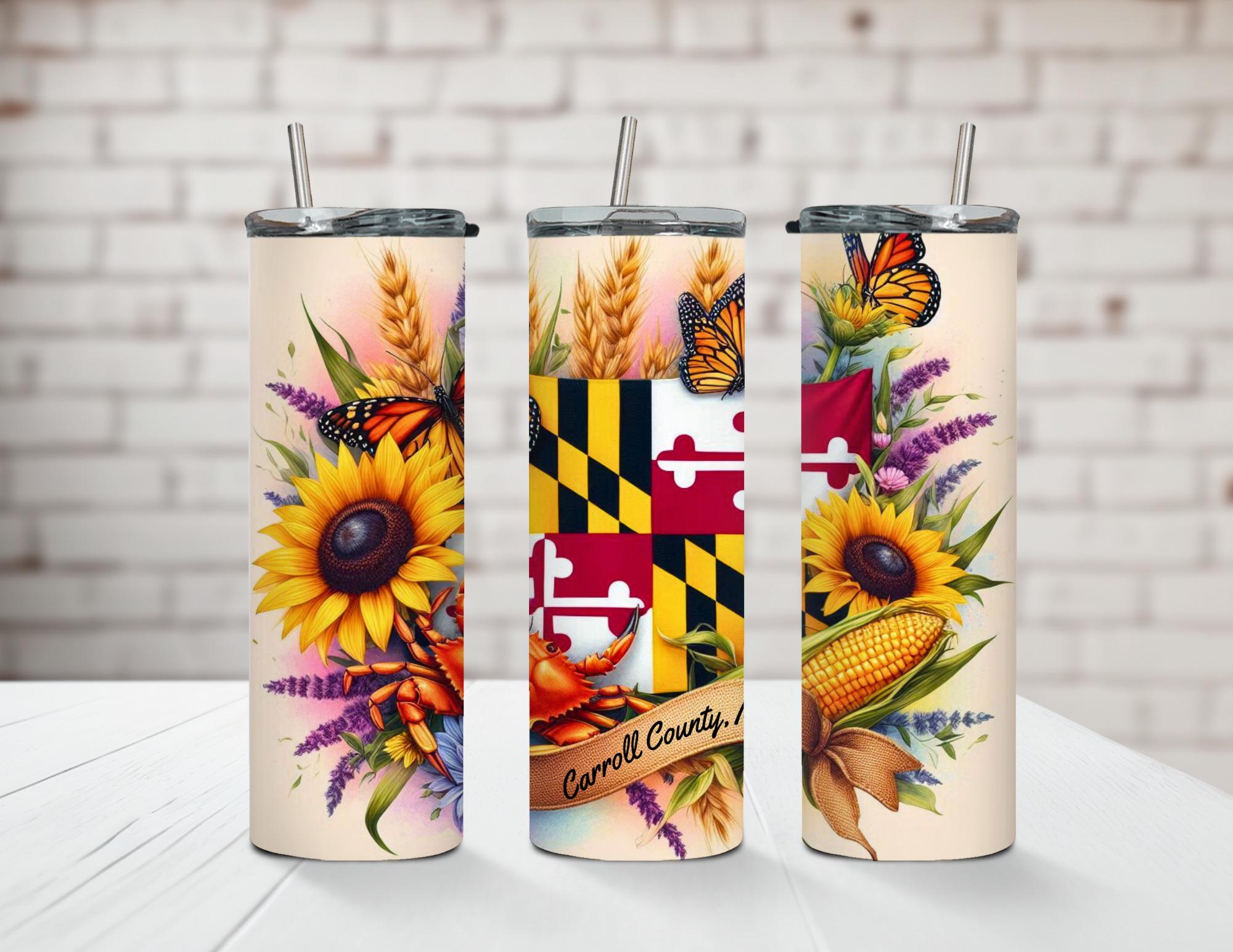 Small Towns Carroll County Maryland 20oz Stainless Steel Tumbler