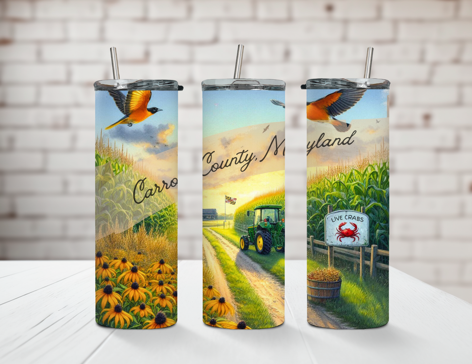 Carroll County Maryland Stainless Steel Tumbler 20oz