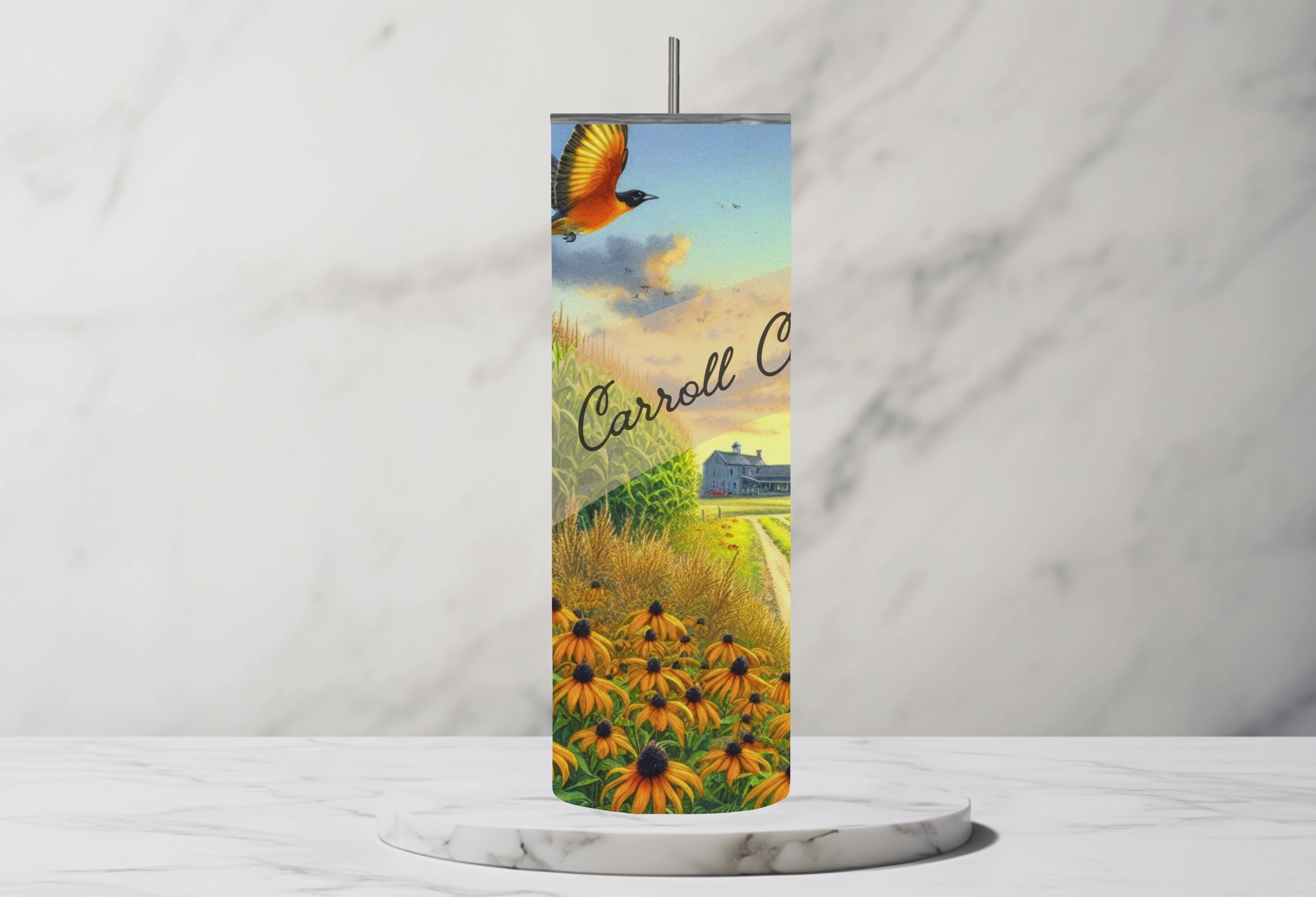 Carroll County Maryland Stainless Steel Tumbler 20oz